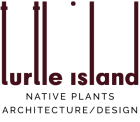 Turtle Island Landscaping - Native plants, architecture/design